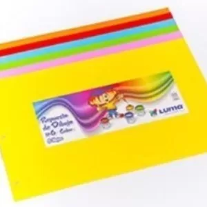 Repuesto de Hojas Canson Nº6 COLOR