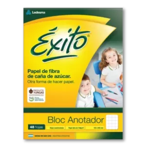 Block Tipo Congreso Cuadriculado