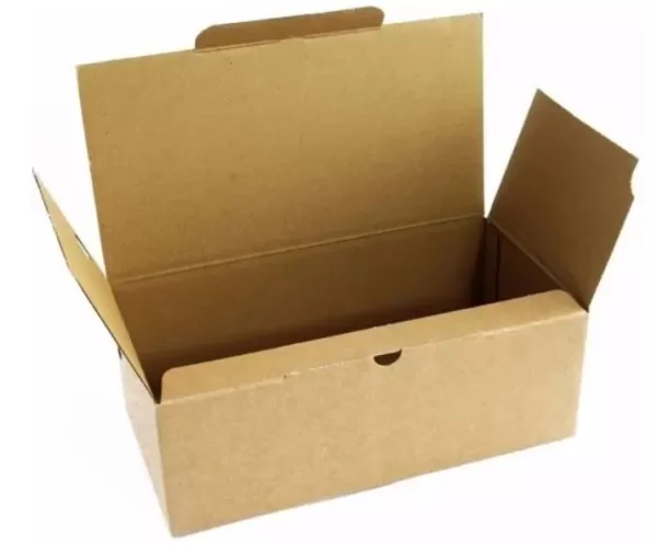 Caja de Zapato Chica (Cartón)