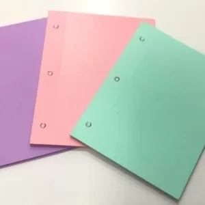 Carpeta Nº3 - 2 tapas p/2 ganchos - Color LISO - verde pastel