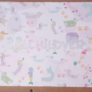 Carpeta Nro 5 para dibujo – SALCHILOVER