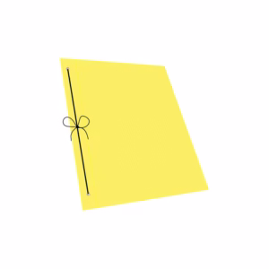 Carpeta Nº3 - 2 tapas p/2 ganchos - Color LISO - PP-AMARILLO