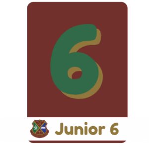 JUNIOR 6 – St. Matthew’s Sede Norte