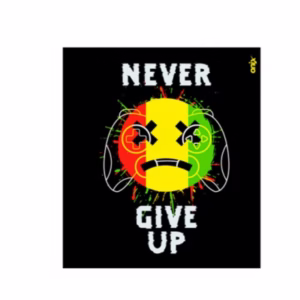 Carpeta Nº3 – Onix -Never Give UP