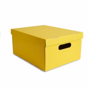 Caja Zapato forrada 31x22x13 cm – Amarillo