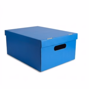 Caja Zapato forrada 31x22x13 cm – celeste