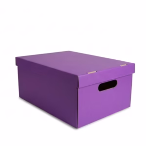 Caja Zapato forrada 31x22x13 cm – Violeta