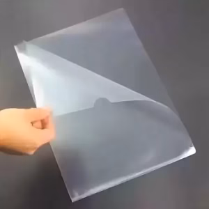 Carpeta A4 en L Transparente The Pel